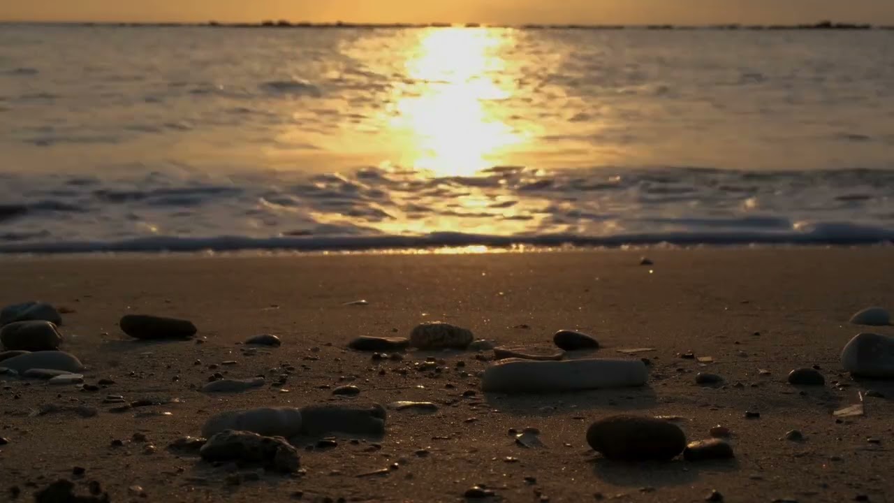 Soft Coastal Chill 🎷 Warm Sax & Guitar | Relaxing Ambient Folk