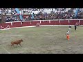 Corrida de toros en Huari – Ancash  2021 – "Cómicos Chistosos".
