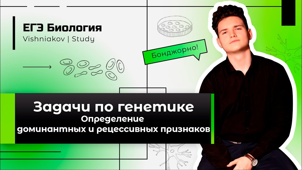 ЕГЭ Биология | ЗАДАЧА ПО ГЕНЕТИКЕ. Определение доминантных и ...