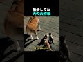 散歩してた散歩してた
