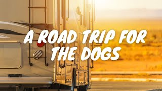 When Life Gives You Lemons, Just Work Your Dog | Road Trip Part 1