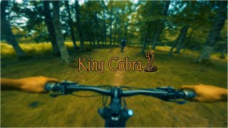 EREMUA TRAILS - 01 KING COBRA - QUINTO REAL / EUGI / NAVARRA - FAT BIKE