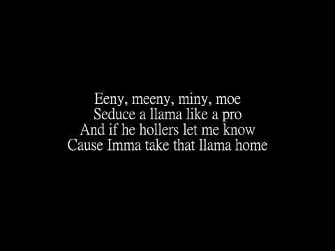 twaimz~llama-song-part-2-(lyrics)