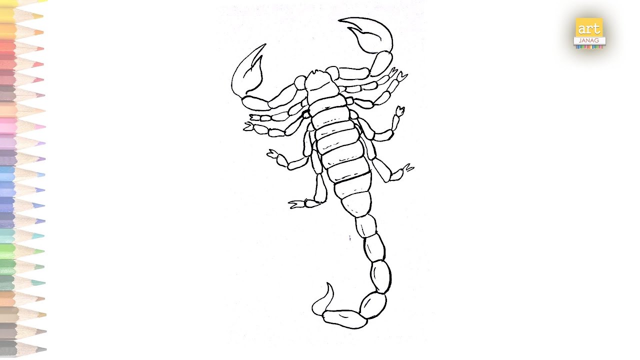 Easy Scorpion Coloring Page PNG Transparent Images Free Download  Vector  Files  Pngtree