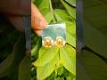Earrings 💐✨💞 #jwellerymaking #shortvideo #shortsviral #ytshorts #ytshortsvideo