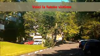 Platane menacé YTB