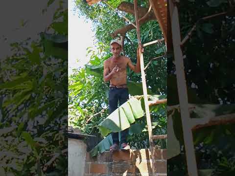 Cuando gusta esta