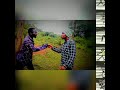 The Itals Rastafari Chariot 