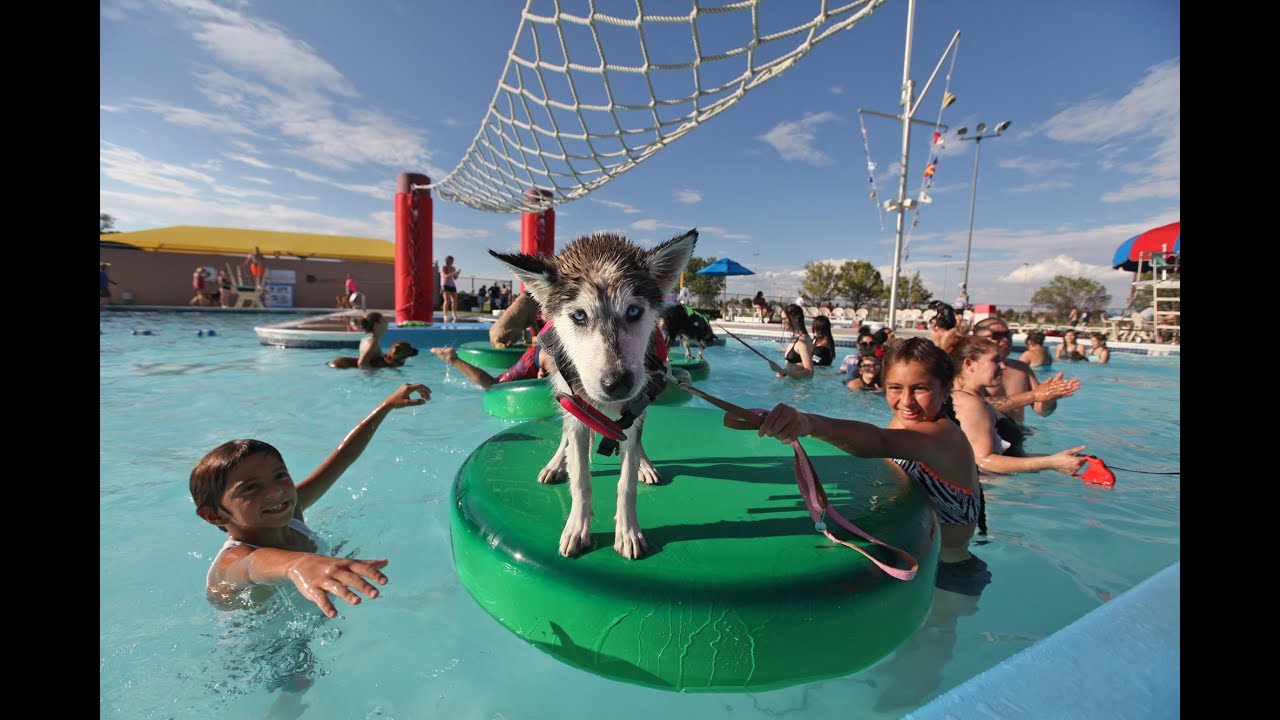 Odessa Parks and Recreation Department's 12th Annual Pet Splash YouTube
