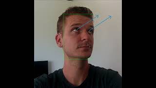 Gaze Tracking Demo on Hawkeye