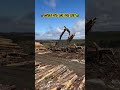 Tigercat 1085 #tigercat #forestry #outdoors #hardwork #operator
