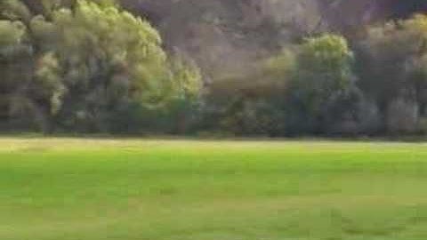 the alan parsons project - mammagamma