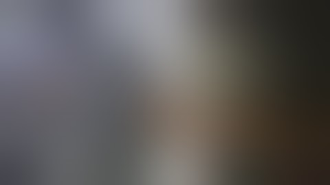 Chikki Packing Machine Flow Wrapping Peanut Chikki Packing Machine Manufacturer in Gujarat India