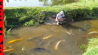 DRAINING ALL the Exotic CATFISH out of My BACKYARD RIVER!