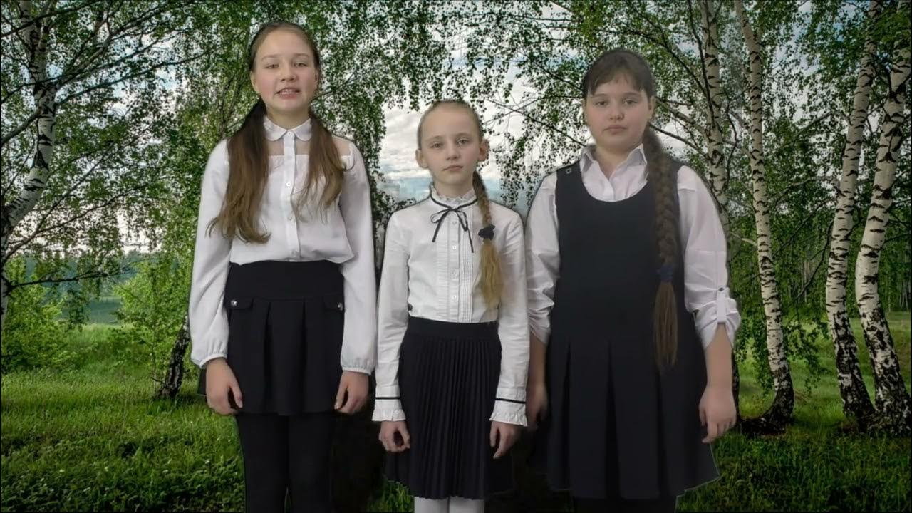 Ок лесной фото
