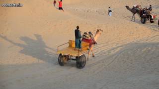 Camel Cart At Sam Sand Dunes, Jaisalmer, Rajasthan 2015-02-03