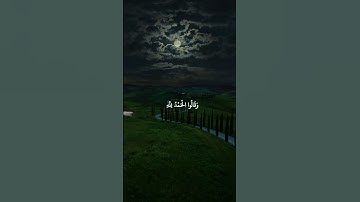 وقالوا الحمد لله الذي أذهب عنا الحزن  #ناصر_القطامي  #سورة_فاطر  #قرآن  #تلاوة  #صوت_الخشوع