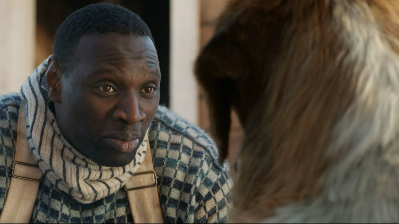 Пес изменил судьбы тех, с кем повстречался на своем пути| Краткий ...