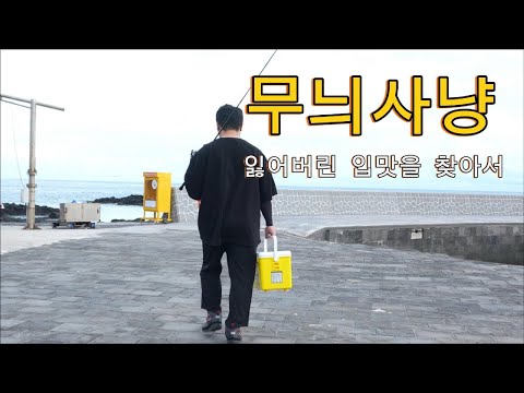 무늬오징어를 잡아서 먹어보자!!