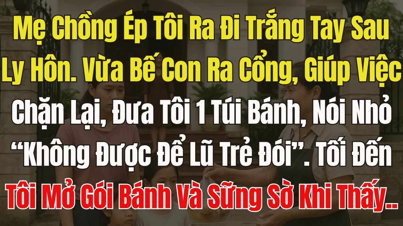Mẹ Chồng Ép Ly Hôn Tay Trắng, Tôi Bế Con Đi, Giúp Việc Cho 1 Túi Bánh. Lúc mở ra, Tôi Sững Sờ Thấy