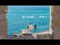 【Playlist】夏の涼風と、この洋楽🎐 | 作業用BGM | Chill | Cozy