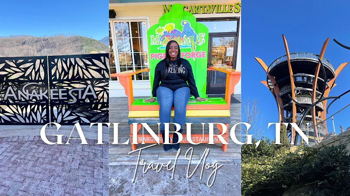 Gatlinburg, Tennessee Travel Vlog 🏔️ | Cozy Cabin Stay, Anakeesta & Ober Gatlinburg Adventures