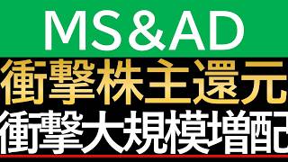 【大注目】表面的な高利回りに惑わされない。MS&AD（8725）の規律ある資本政策と直視すべき「災害リスク」