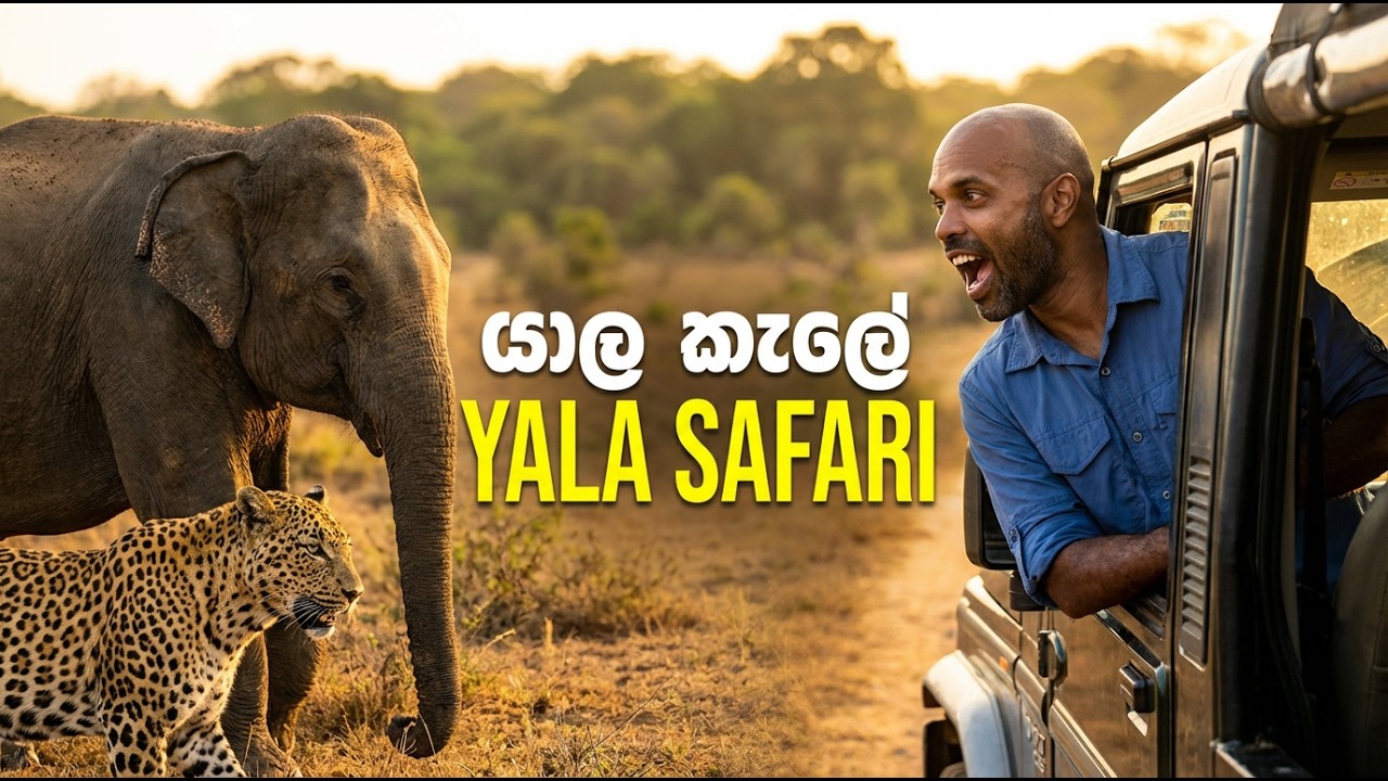යාල කැලේ Yala Safari | Dr. Ru Somaweera | #යංසත්තුබලන්න #rugoeswild