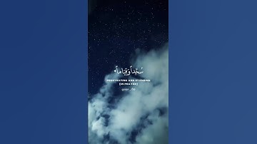 سورة لقمان/ القارء شريف مصطفى 💮