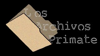 LOS ARCHIVOS PRIMATE | PRIMATE BMX