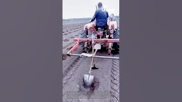 Farming for beginners: a simple guide to tilling with a tractor