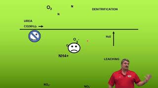 All Things Nitrogen
