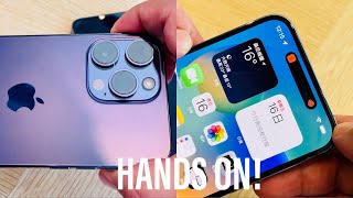 iPhone 14 Pro Max DEEP PURPLE π HANDS ON! π
iPhone 14 Pro Max DEEP PURPLE π HANDS ON! π
#iPhone14ProMax #iPhone14Pro iPhone 14 Pro Max DEEP PURPLE π HANDS ON! π