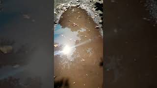 Surya Grahana 26 December 2019 visible in water