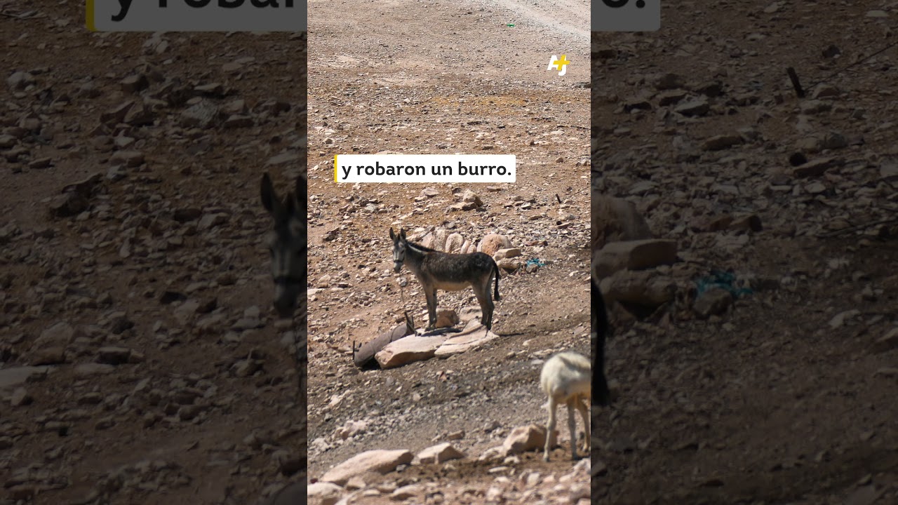 يهاجم المستوطنون الإسرائيليون قرية "لا أرض أخرى" #shorts