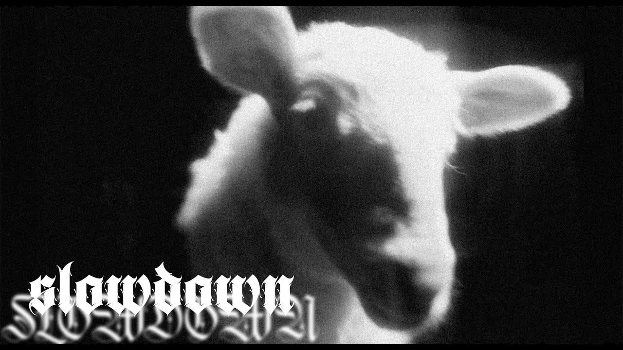 [FREE] SALUKI, J.ROUH, BASIC BOY type beat 'SLOWDOWN'