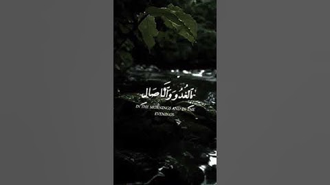 #اكسبلور #لايك #تلاوة_خاشعة #تيك_توك #ترند #explore #حالات_واتس #راحة_نفسية #صباح_الخير