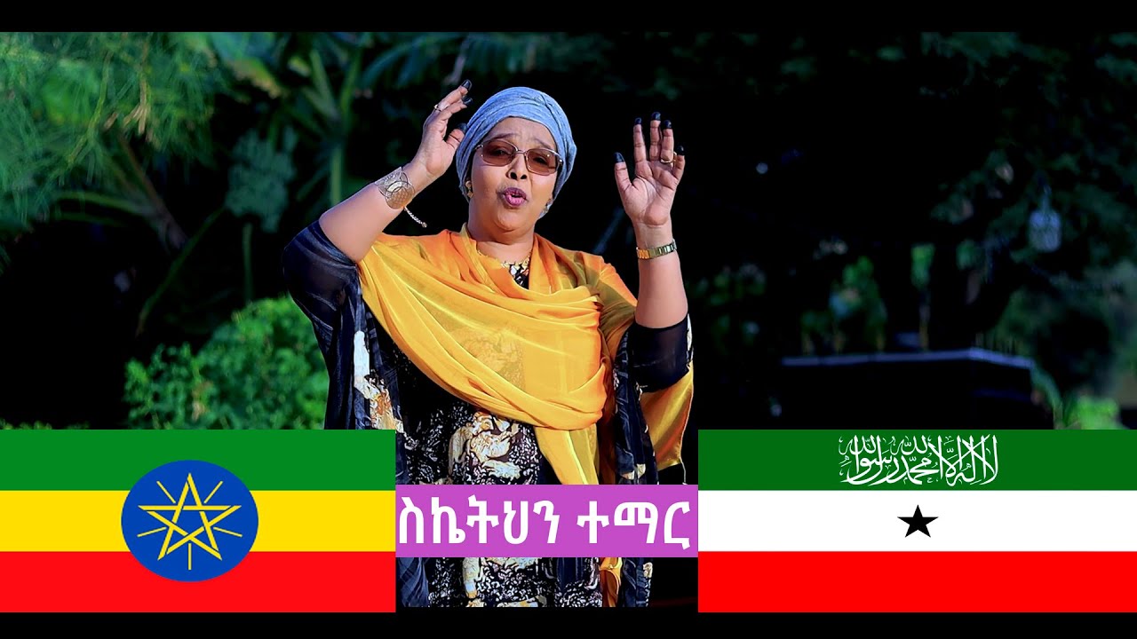 Sahra Ilays  ስኬትህን ተማር - Somaliland  Guushaada Daadihi  Official Video 2024