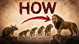 How Did a Tiny Rat Become a Lion? | Animal Evolution Explained🥶😱