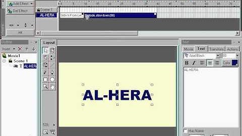 Flash Tutorial SWISH-1.wmv