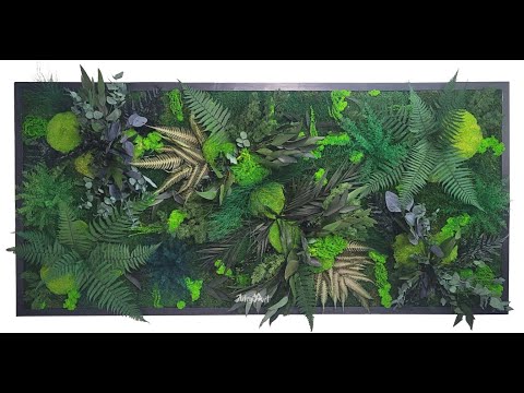 Video: Plante cu mușchi. Valoarea mușchilor în natură