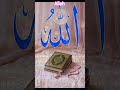Tu Rehman Tu Rahem #shorts#status#video#islamic#youtubeshorts#viral