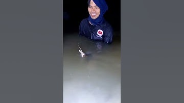 Cá Ngát Bắt Như Vậy luôn hả trời | HÒA CẦN GIỜ VLOG | #SHORTS