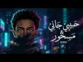 حبيبي جاني & مسحور - DJ H4 