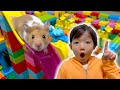 ハムスターにレゴで迷路作ってみた🐹モニタリング DIY Hamster MAZE Lego Obstacle Course Escape the Castle!