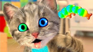 Funny Cat Little Kitten Adventure - Play Fun Pet Care Best Learning cartoons Videos for babies #1088