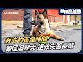 每3位失智長輩就有1人走失！揭祕「路徑追蹤犬」如何靠一萬倍嗅覺拯救｜新聞高峰會 生命中的毛孩天使｜華視新聞 20260607｜搜救犬嗅出回家路