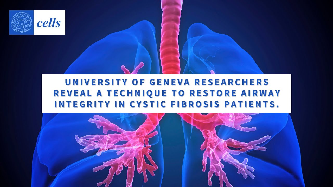 Restoring airway integrity for people living with cystic fibrosis