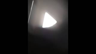 Emsolatum absolem #1