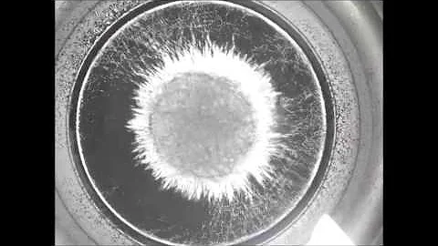 Sound Frequencies in Water: Middle "C" Scale  (Based on A=440Hz)